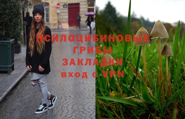винт Армянск