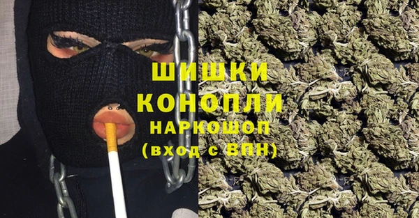 винт Армянск