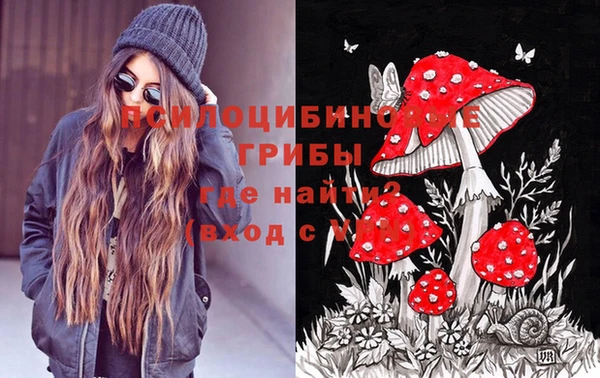 ПСИЛОЦИБИНОВЫЕ ГРИБЫ Арсеньев