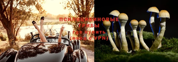 винт Армянск