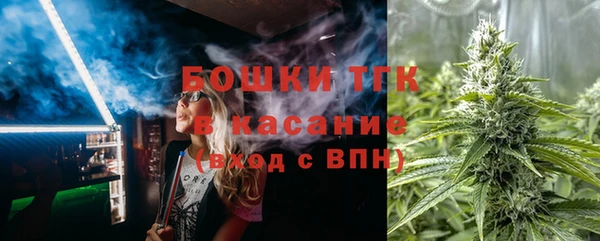 ПСИЛОЦИБИНОВЫЕ ГРИБЫ Арсеньев