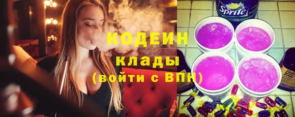 ПСИЛОЦИБИНОВЫЕ ГРИБЫ Арсеньев