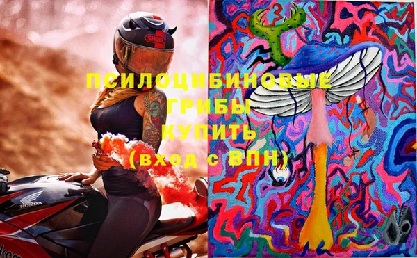 винт Армянск