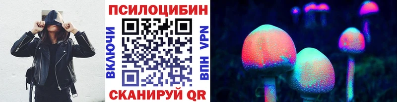 где продают наркотики  Снежинск  Псилоцибиновые грибы Cubensis 